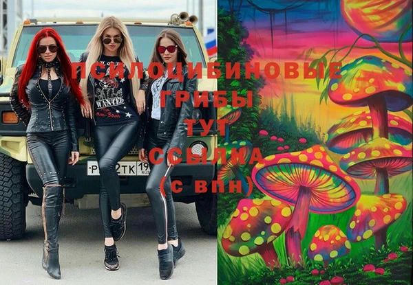 прущая мука Армянск